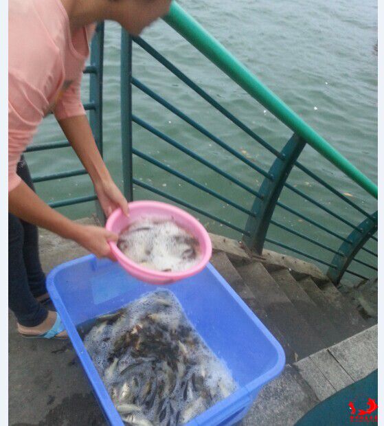 QQ图片20141103152150.jpg