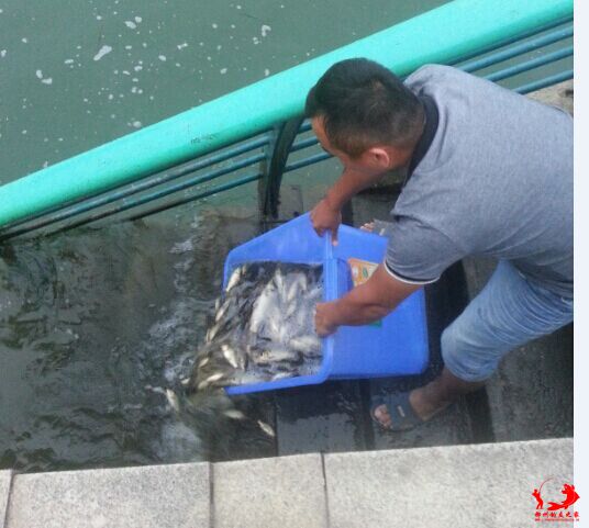 QQ图片20141103152203.jpg