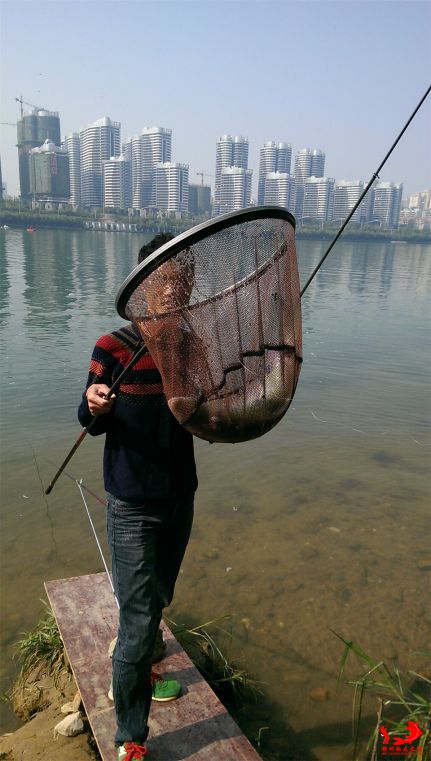 IMAG0969.jpg