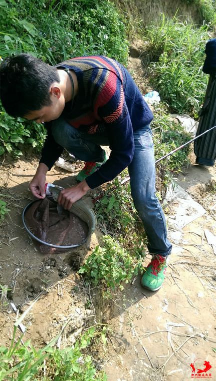IMAG0988.jpg