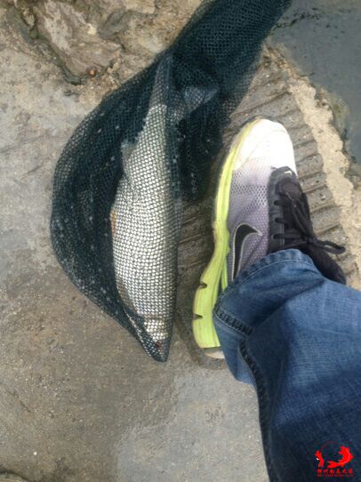QQ图片20141121151054.jpg