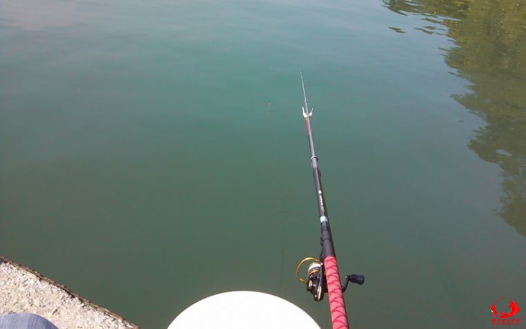 IMG_20141114_140040.jpg