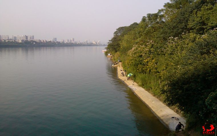 IMG_20141114_155611.jpg