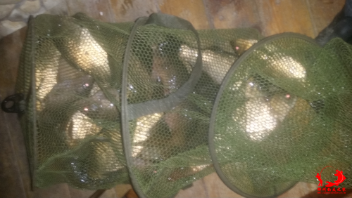 20150304_225307.jpg