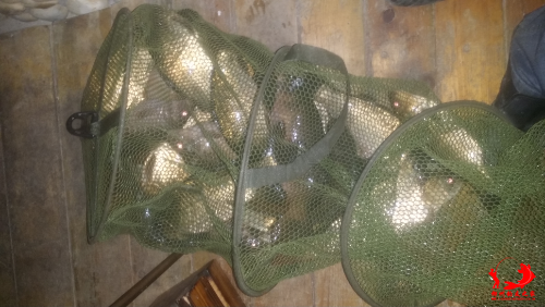 20150304_225241.jpg